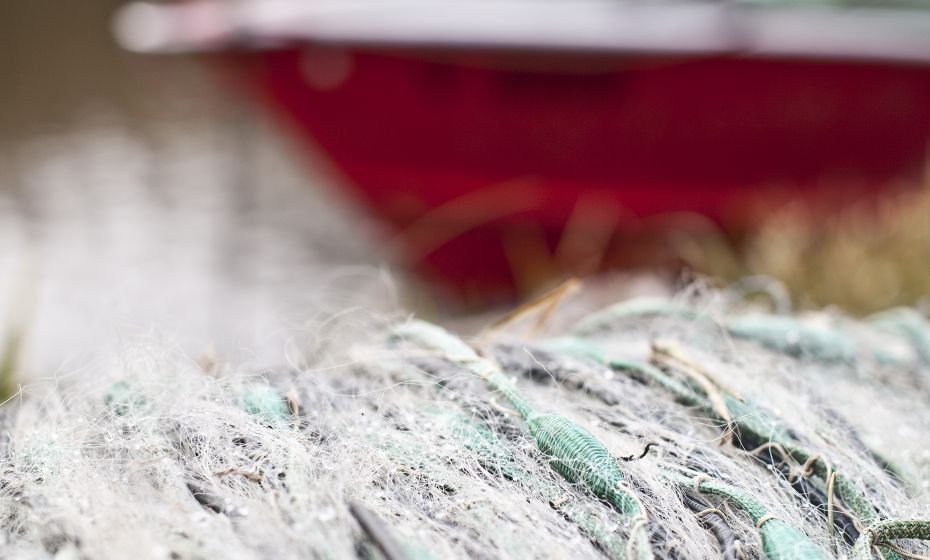 Fränzle´s Fränzle´s