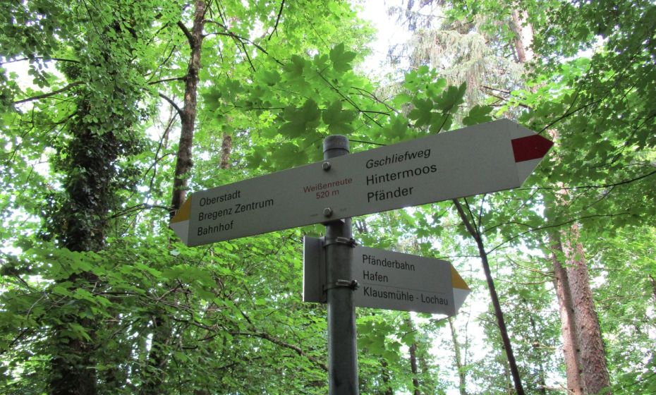 Erich Zucalli - Erich Zucalli / www.guideservice.at Haben sie den Blick auch mal in die Kronen des bunten Mischwaldes erhoben? Letzte Gelegenheit vor dem Ziel.