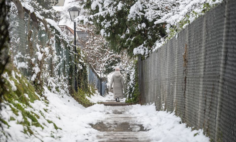 Wildpark Feldkirch Wildpark Feldkirch